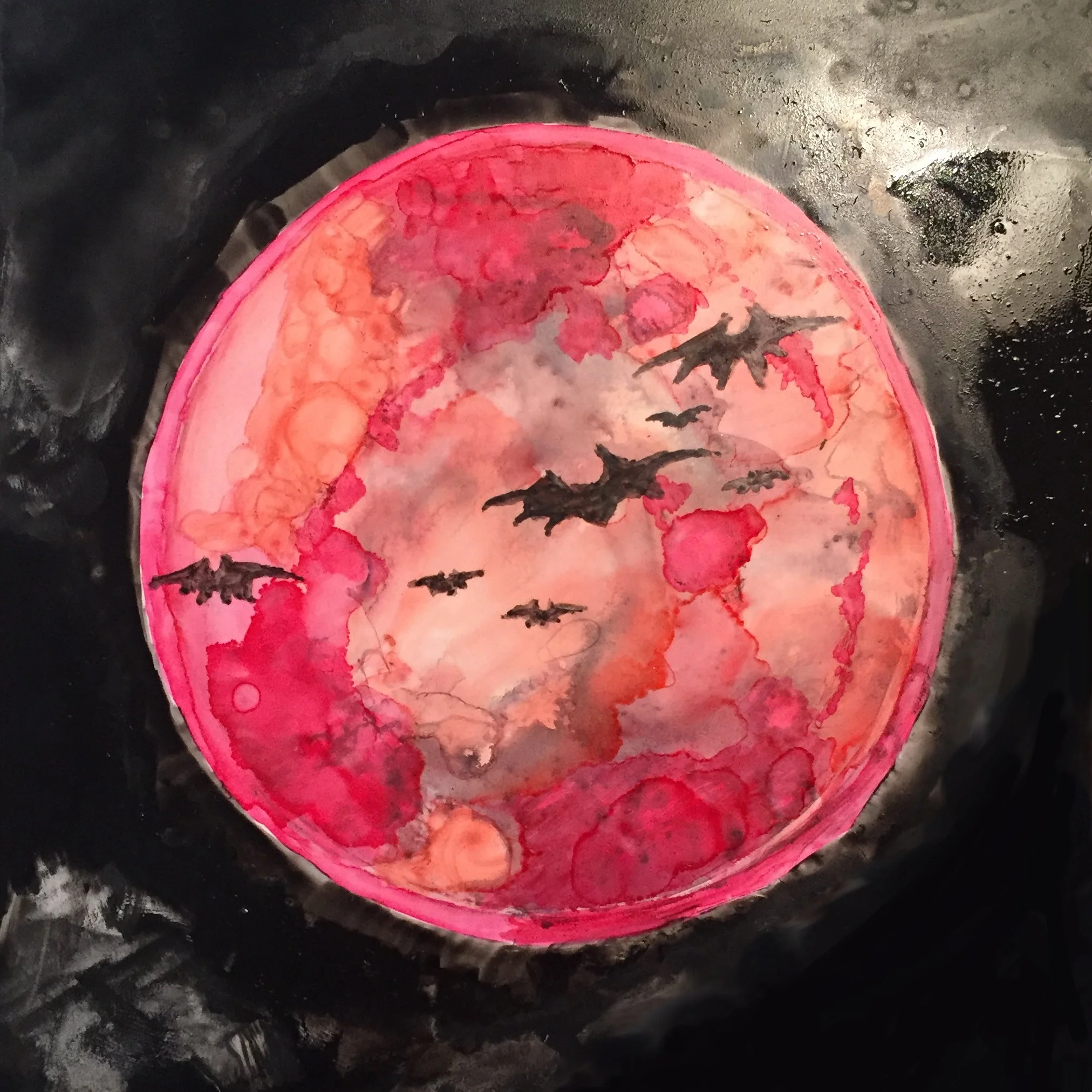 Pink moon digitally altered square cropped c_willem.jpg