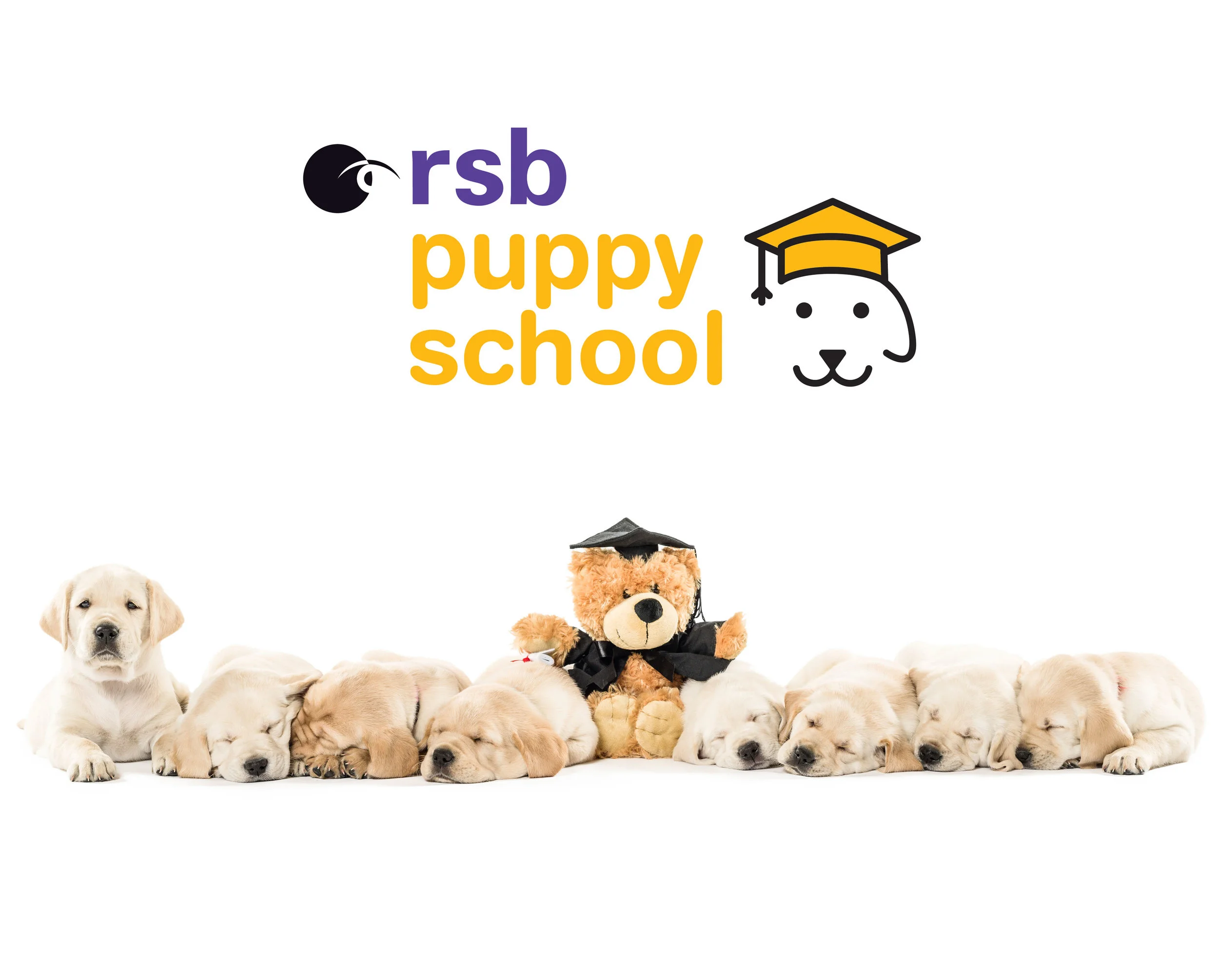 PuppySchoolBanner03.jpg