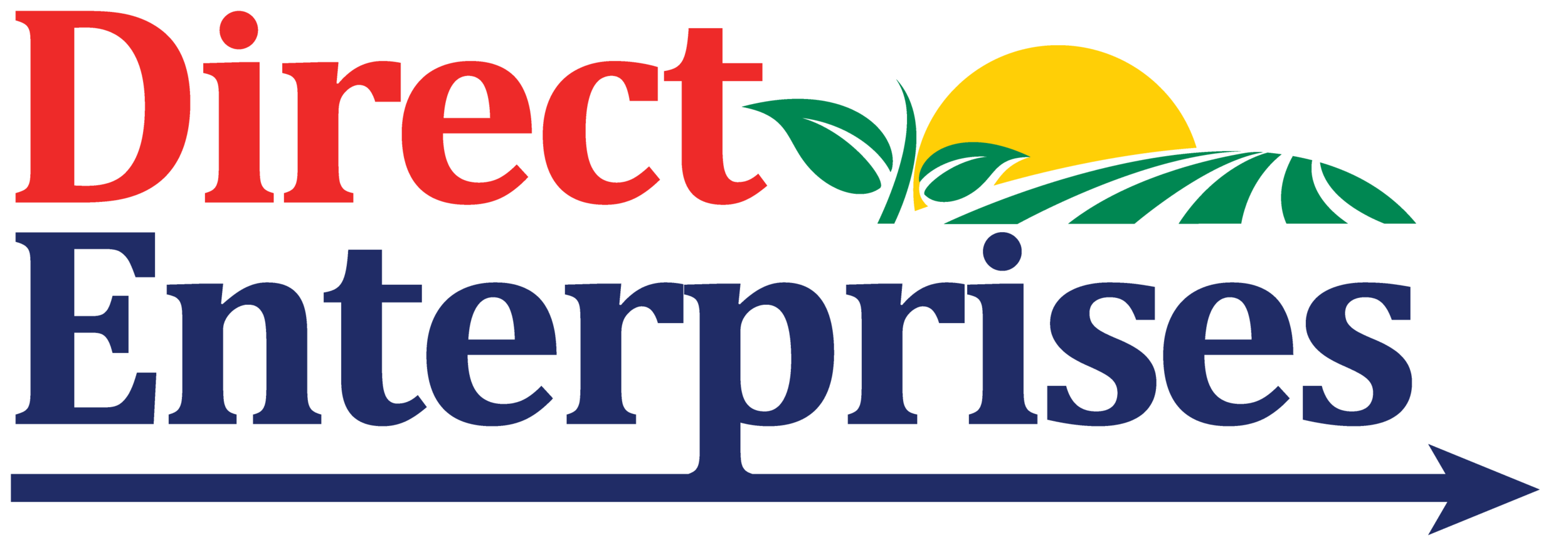 Direct Enterprises, Inc.
