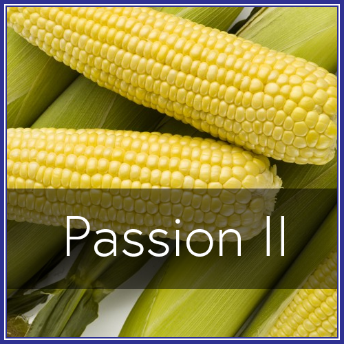 Passion II.png