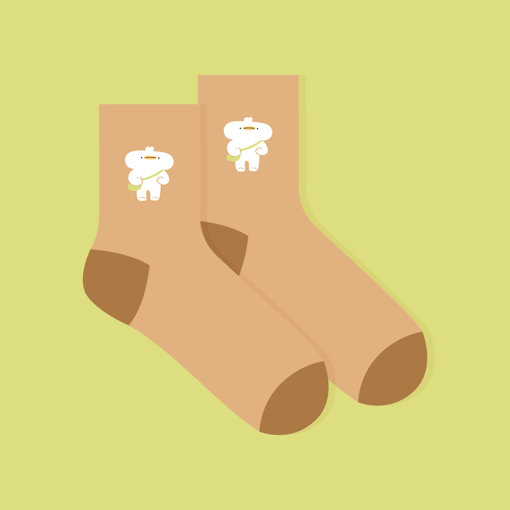 Artboard 11socks.png