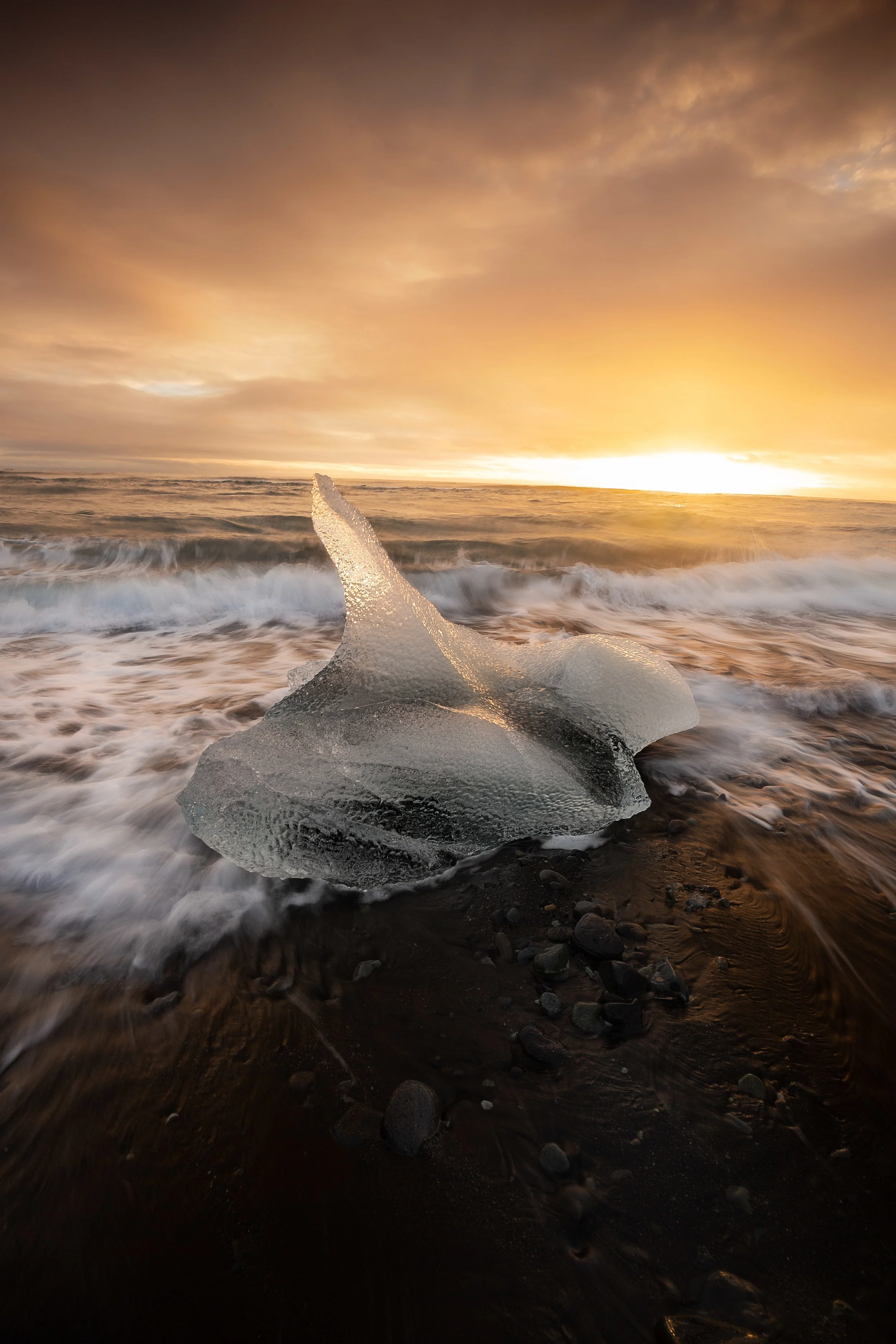 Swan Ice 2.jpg
