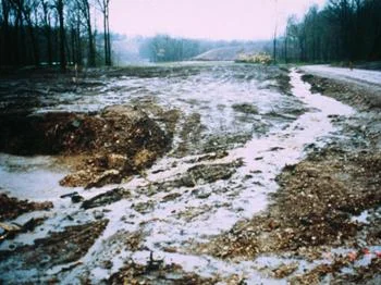 runoff2.jpg