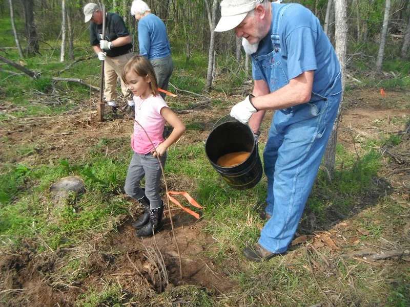 Tree Planting for Erosion and Wildlife Habitat