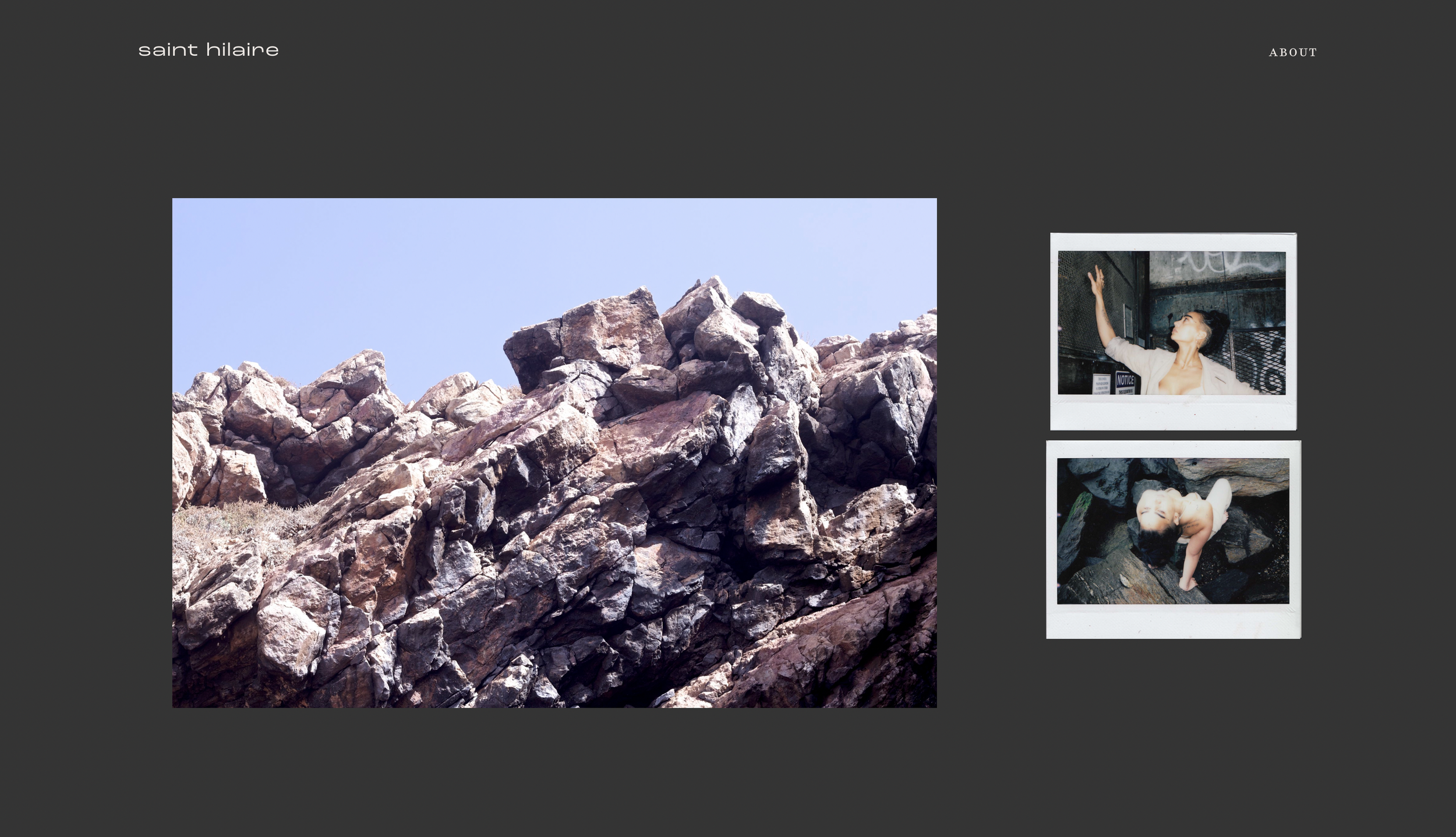 WEBSITE DESIGN