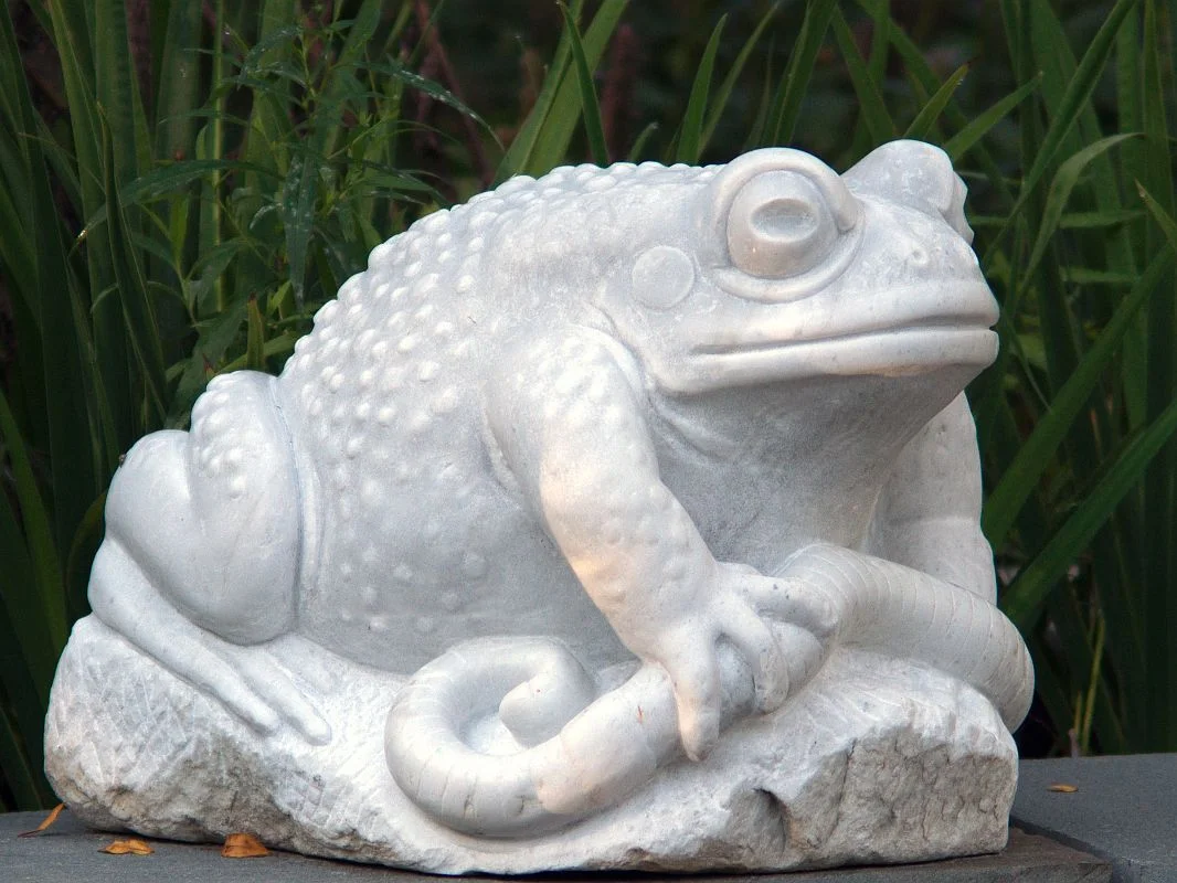 Toad-with-Worm-2015-rightside-800.jpg