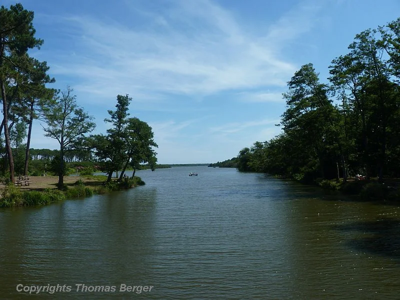 The vegetation around these lakes is rich and varied.