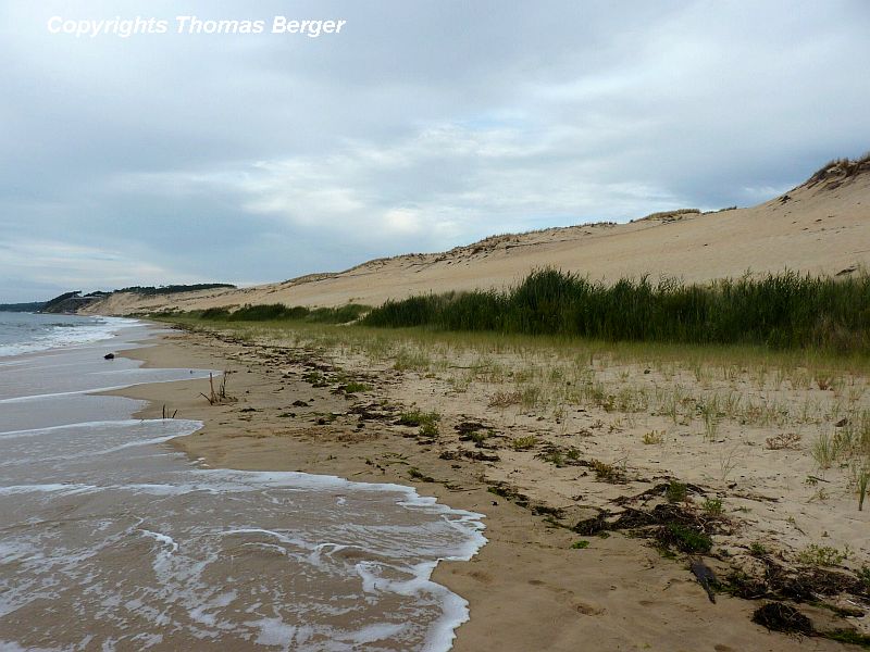 The entire coastline up to Bayonne is sandy, with endless beaches and pine forests (visible in the background). South from Bayonne, where the Pyrenees drop down to the Ocean, it changes dramatically and consists of ledge and cliffs.