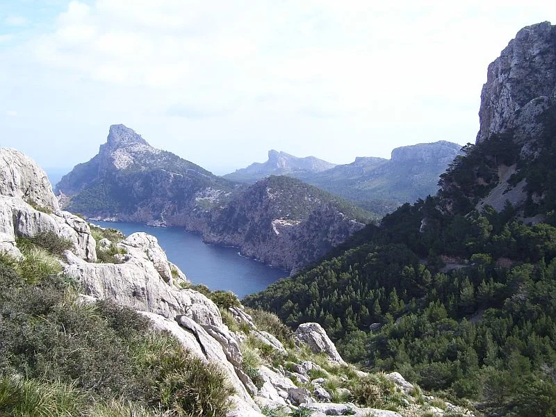 Mediterranean landscapes are often covered with forests of pine and broadleaf evergreens. The rugged landscape pictured above is typical for areas rich in limestone, where soils are thin and extremely vulnerable to erosion.