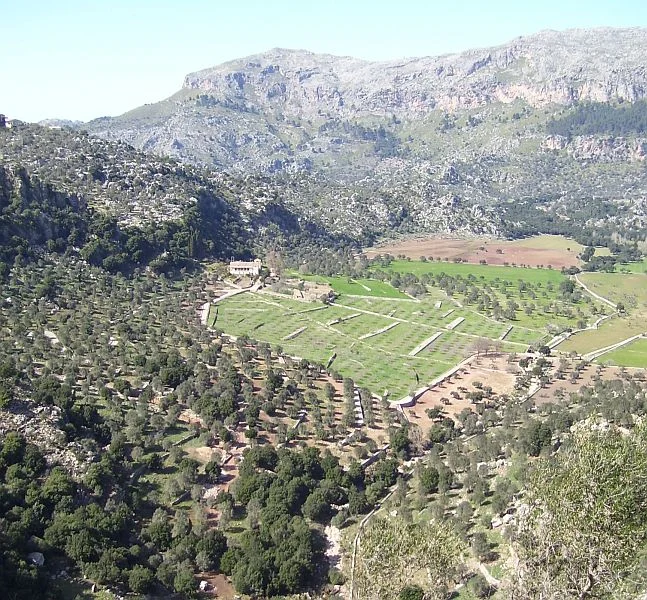 The 'cultural landscape' of Mallorca consists of fields and orchards in the valleys and on the lower slopes of the mountains. Winter and spring are the greenest seasons here, while summers are hot and dry and a bit more brown.