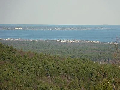 Tidal wetlands reach far inland along river arms and provide an interesting habitat where salt marshes and coastal hardwood forests meet. Such wetlands contain a rich variety of species including oaks, maples, beech, ash, hickory and other deciduous trees as well as white pine, hemlock, spruce and red cedar (Juniper).