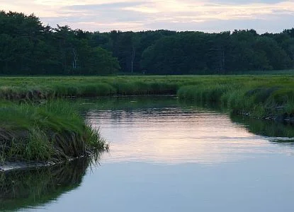 P1020652 wetland stream Rye A-300.jpg