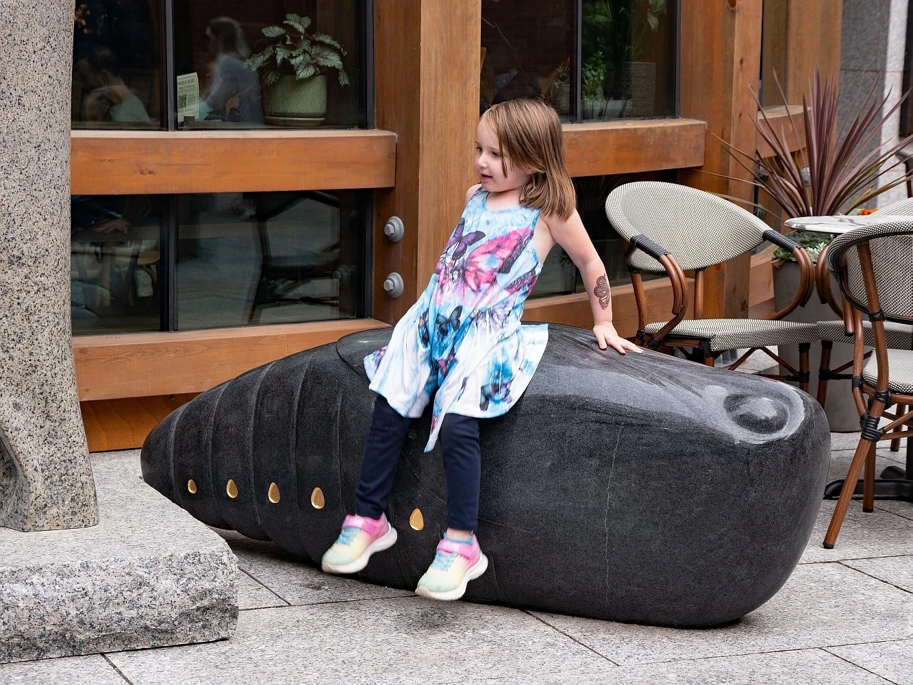  The chrysalis is the transitional stage between a caterpillar and a butterfly. On the inside, the complicated process of dissolving and re-building tissues takes place. It is a metaphor for profound change. 