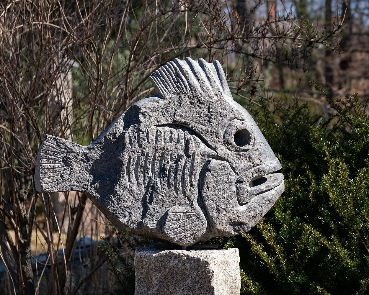 'Half-dead Fish'   dead side, fieldstone, 2024