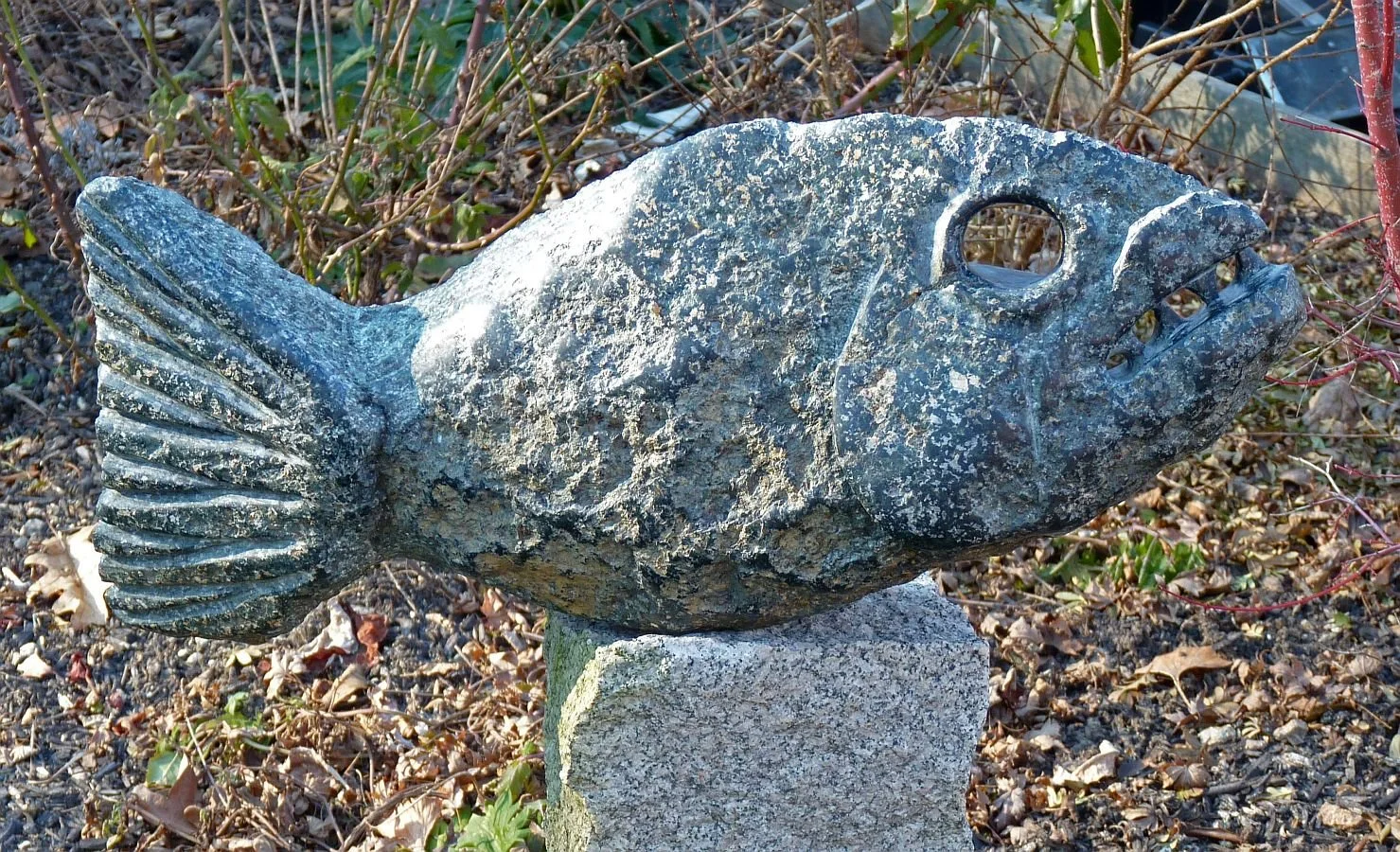 'Demi Poisson Pourri'     fieldstone, 2011