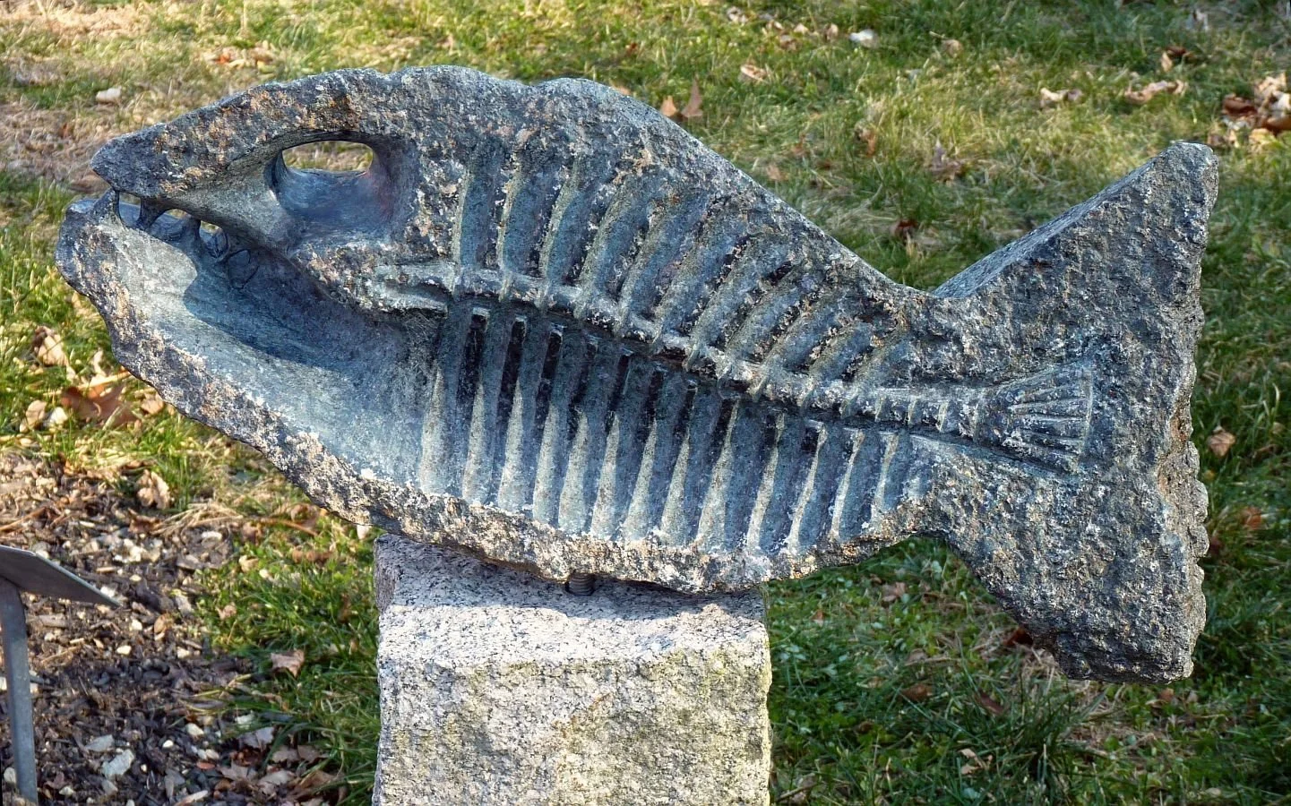 'Demi Poisson Pourri'     rotten side, fieldstone, 2011