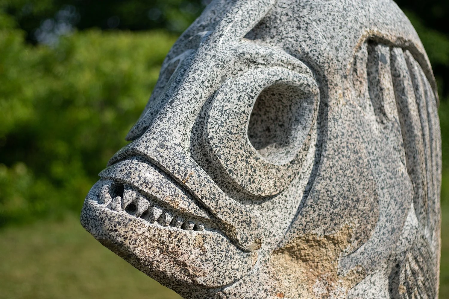 'Rotten Fish 2023'     face view