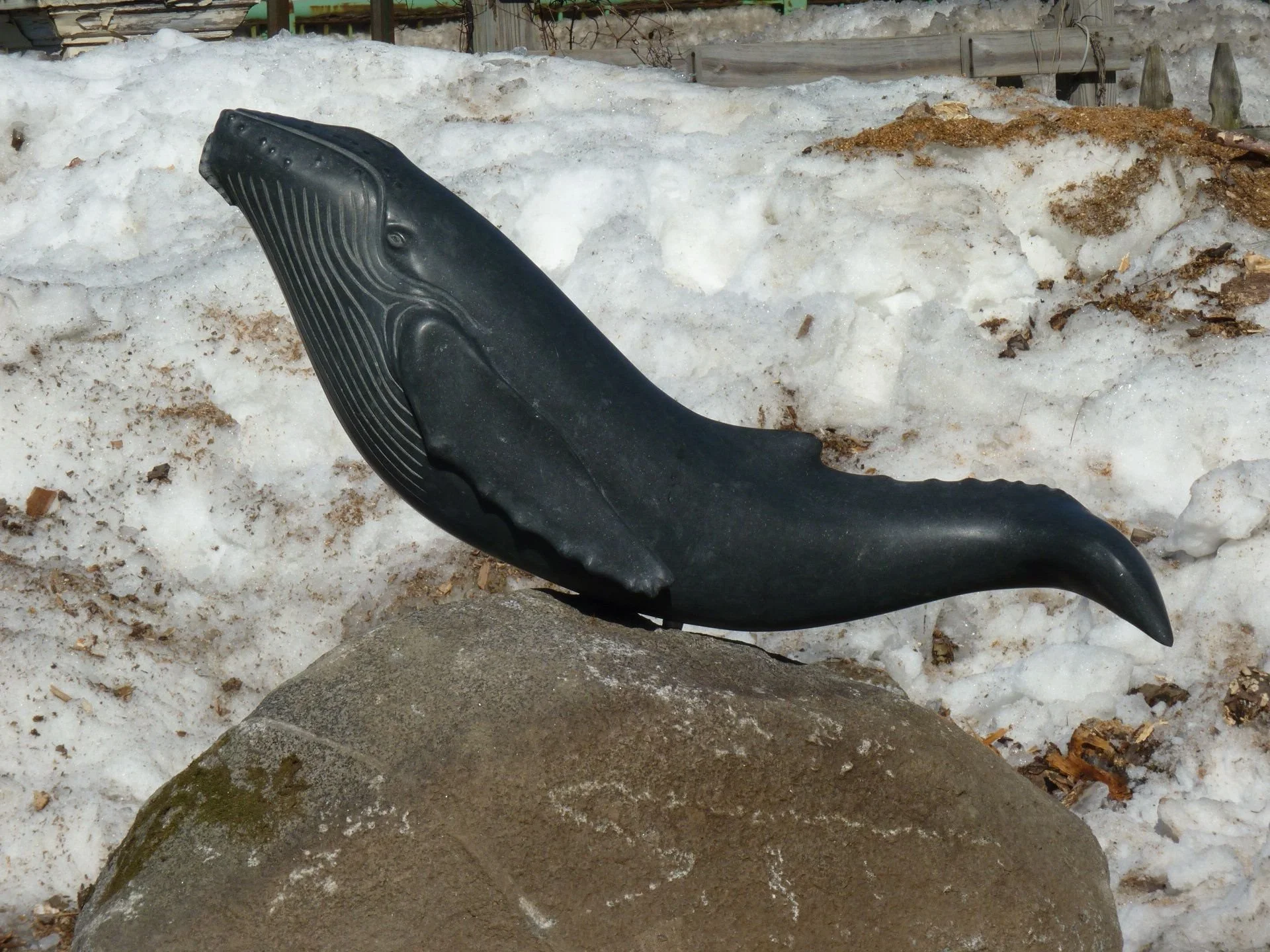 'Humpback Whale' 2011, black granite, approx. 3 ft. long