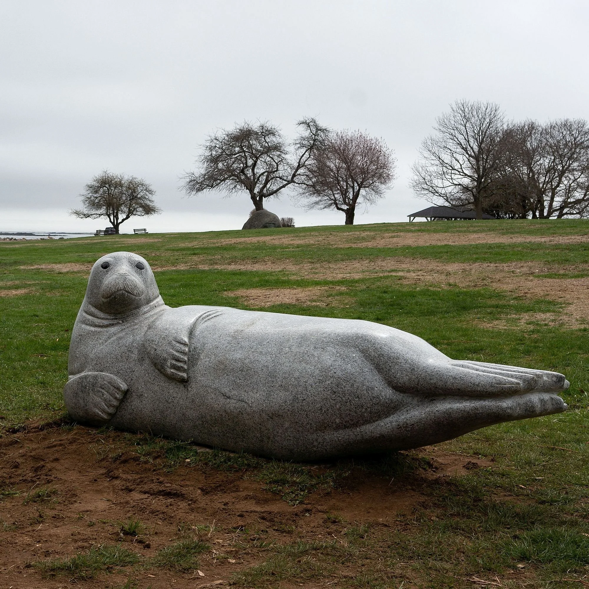 'Sally the Seal' 2025, installed at the Great Island Commons in New Castle /NH
