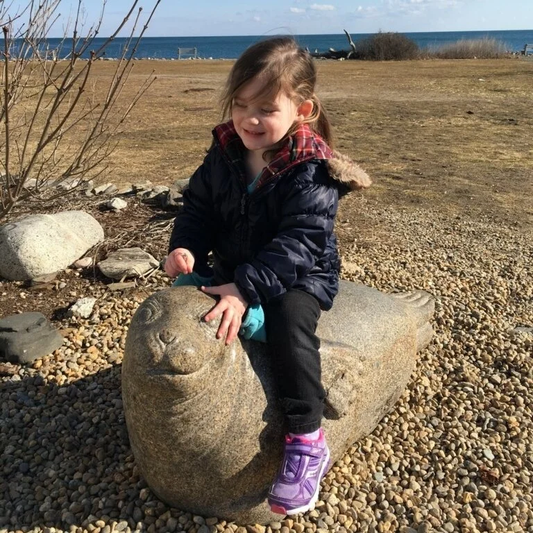'Harbor Seal' with playmate