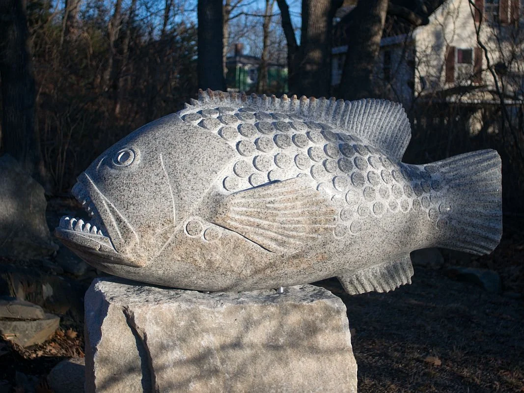 'Grumpy Grouper' 2017, granite