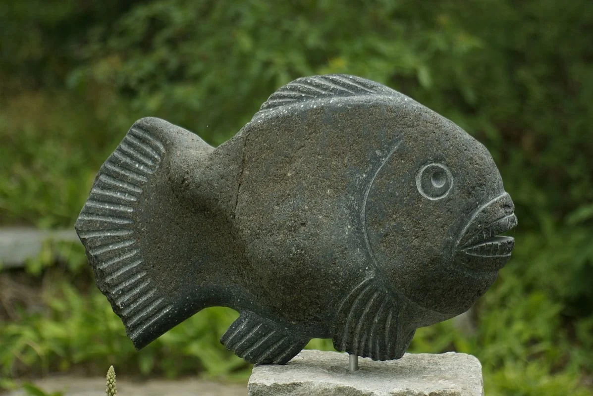 "Parrotfish' 2017, fieldstone