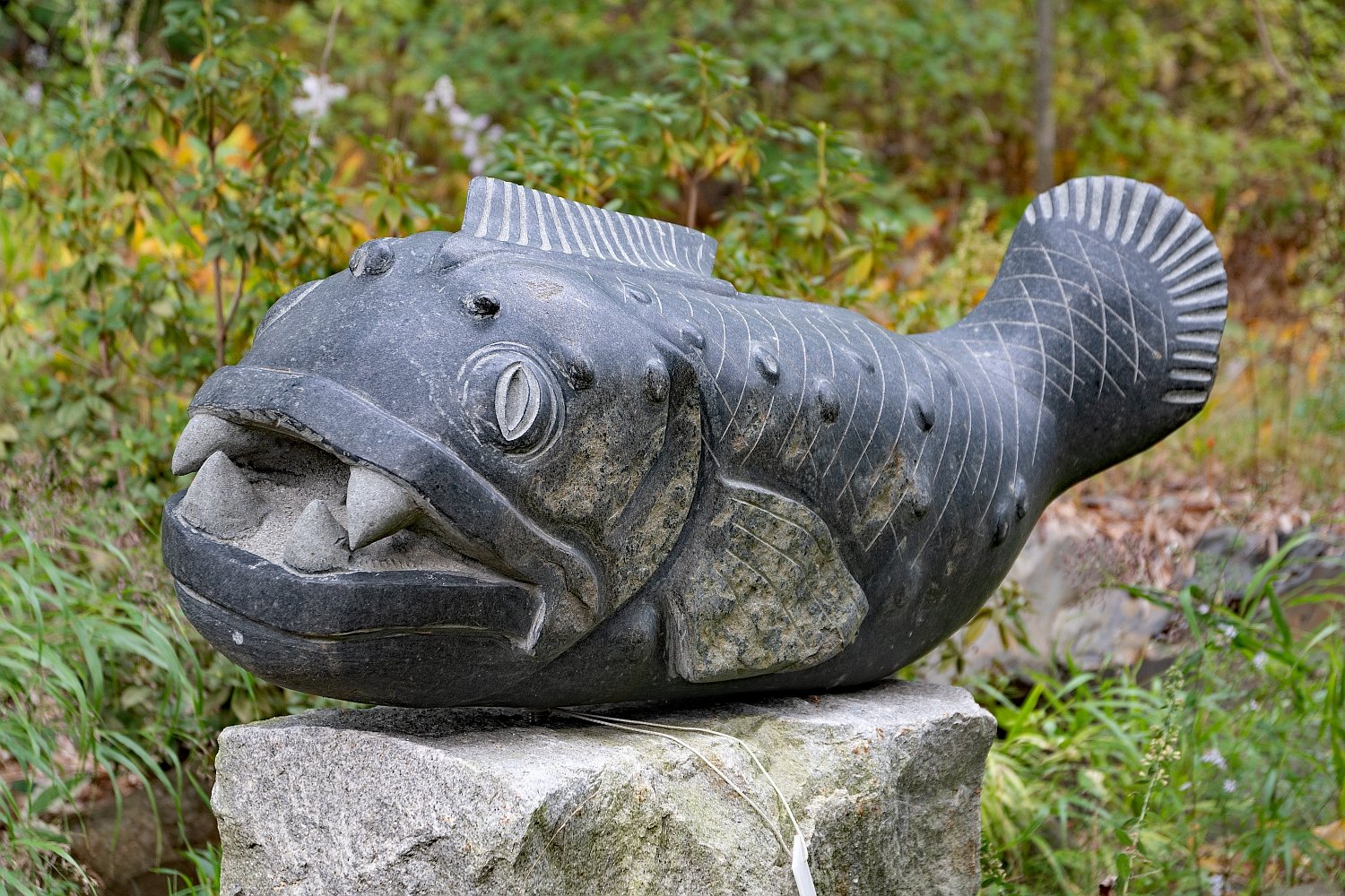 'Pesce Monstruosi' 2019, fieldstone