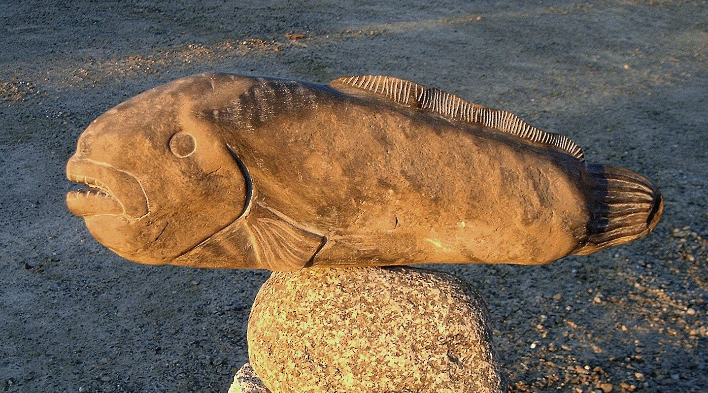 'Wolffish' 2006, fieldstone