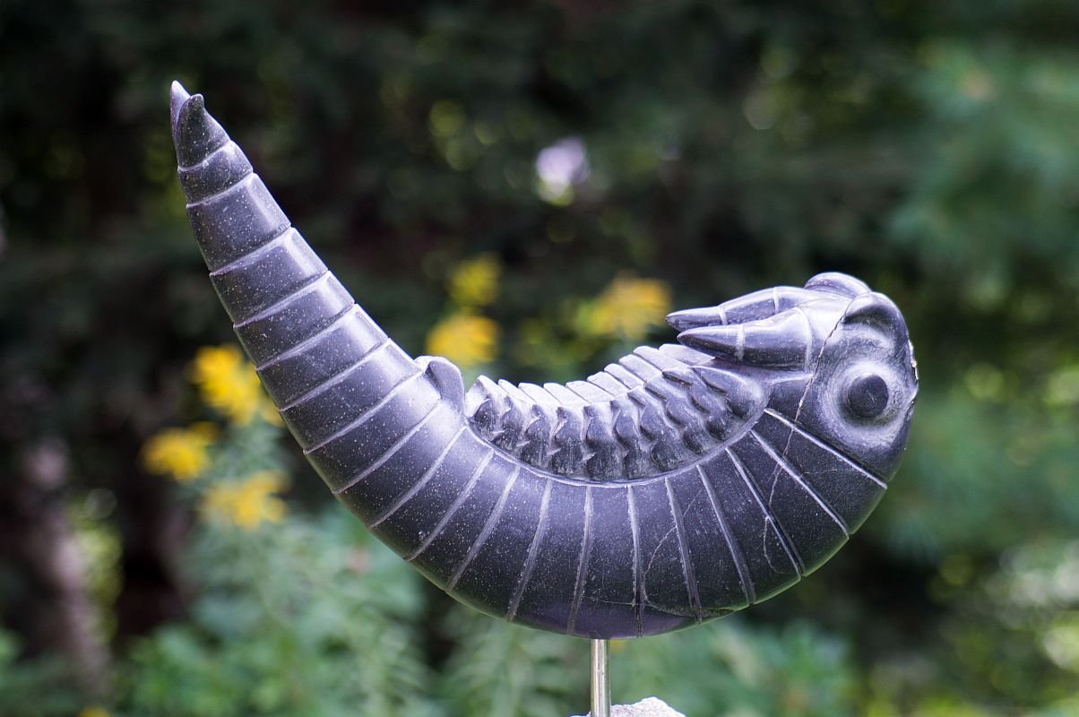 'Fairyshrimp' 2010, fieldstone