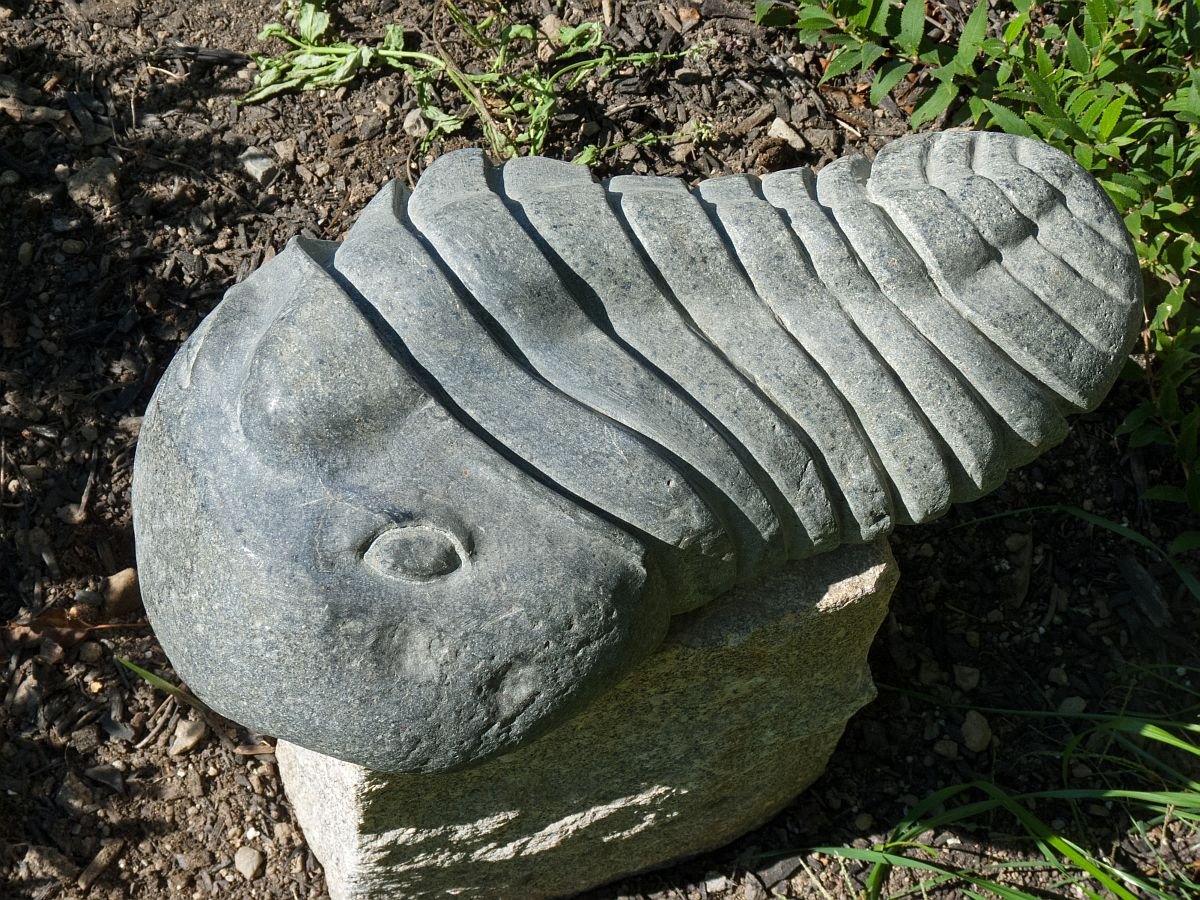 'Trilobite' 2009, fieldstone