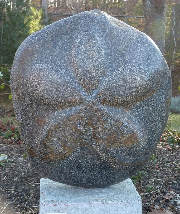 'Echinocymis' 2011, fieldstone, front side
