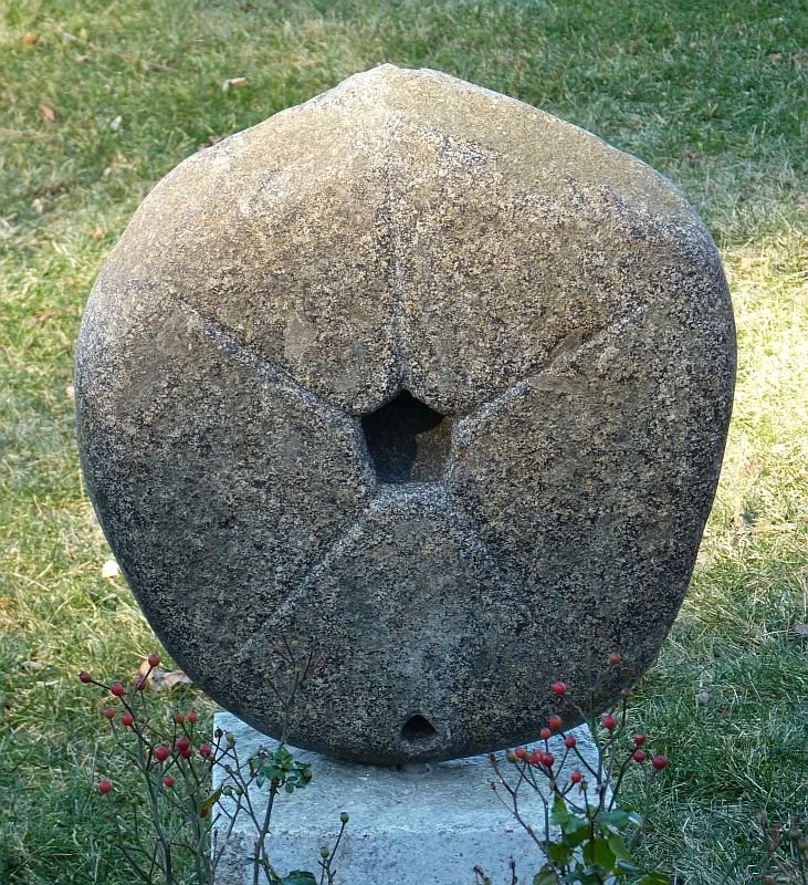 'Echinocymis' 2011, back side