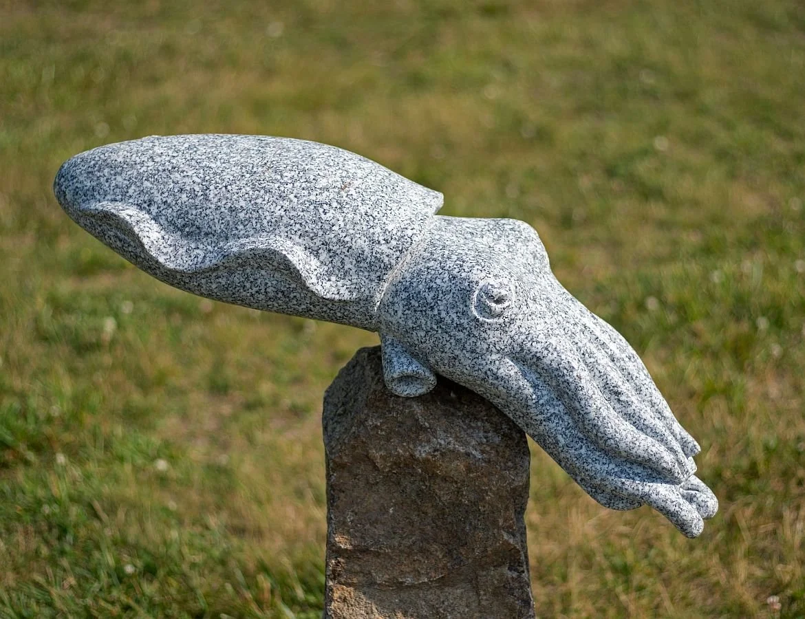 'Cuttlefish' 2023, granite