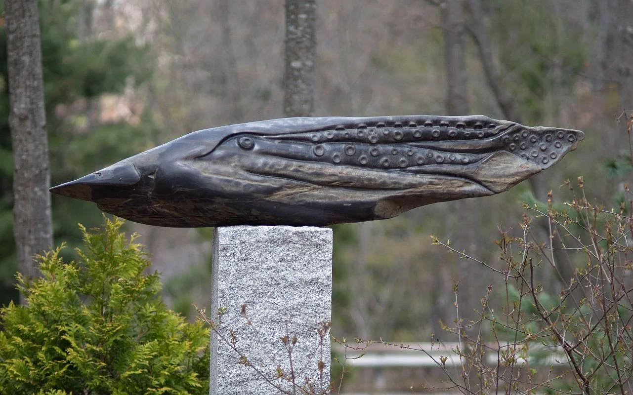 'Genetically Modified Squid' 2013, fieldstone, front side