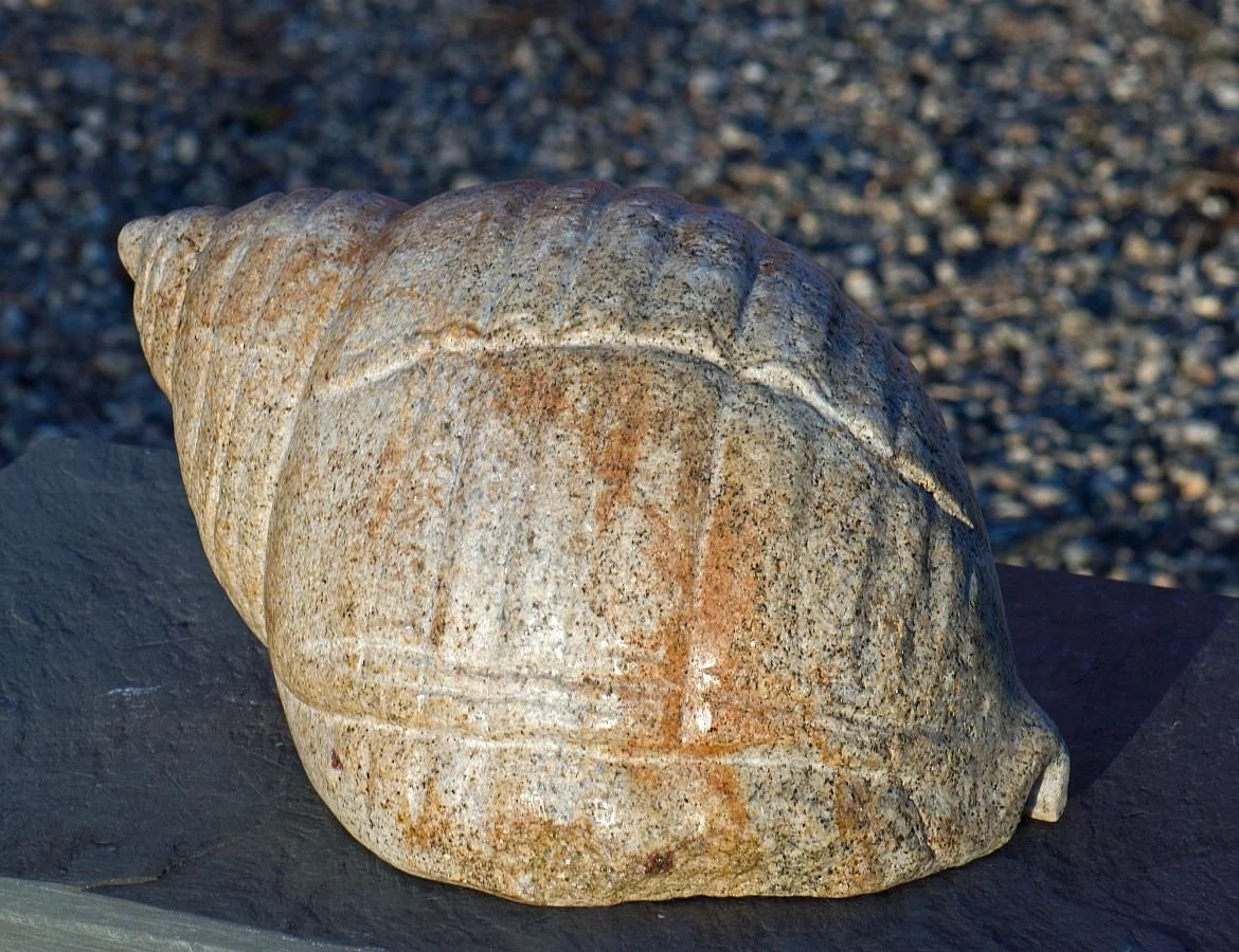 'Dog Whelk' 2017, fieldstone