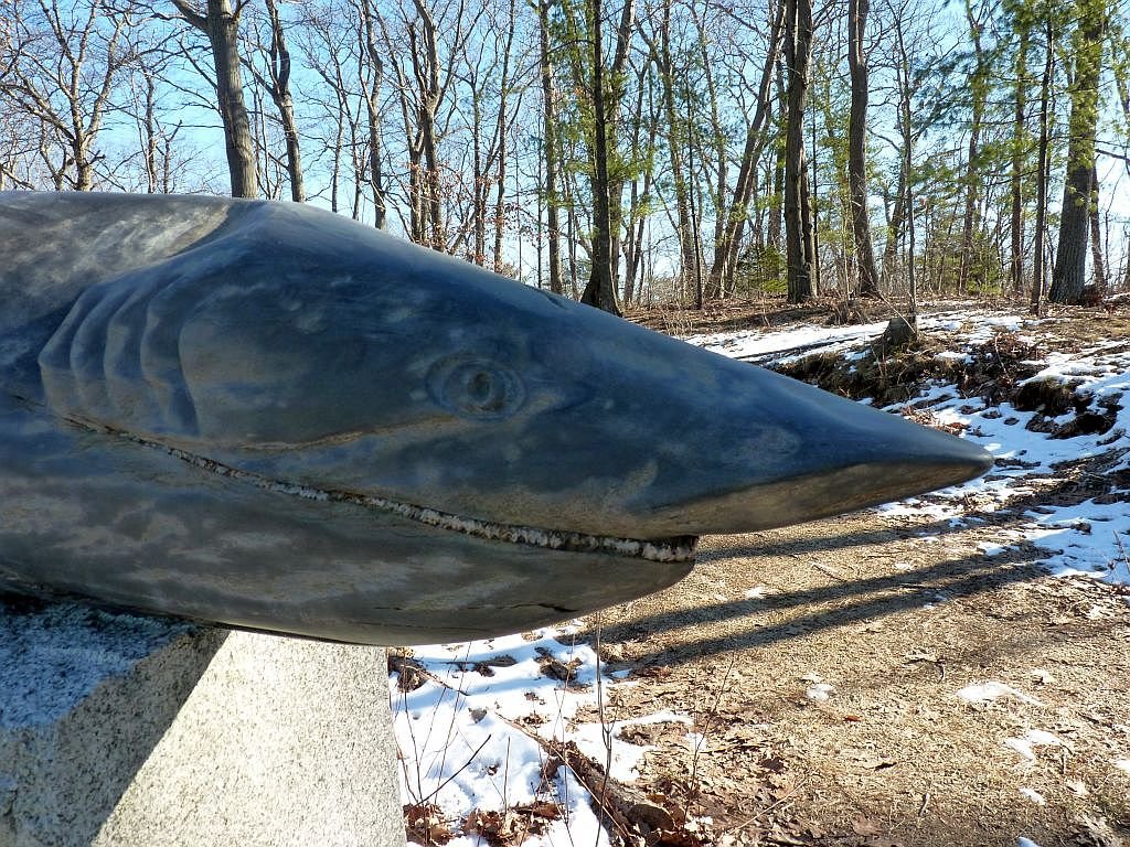 'Genetically Modified Squid' backside