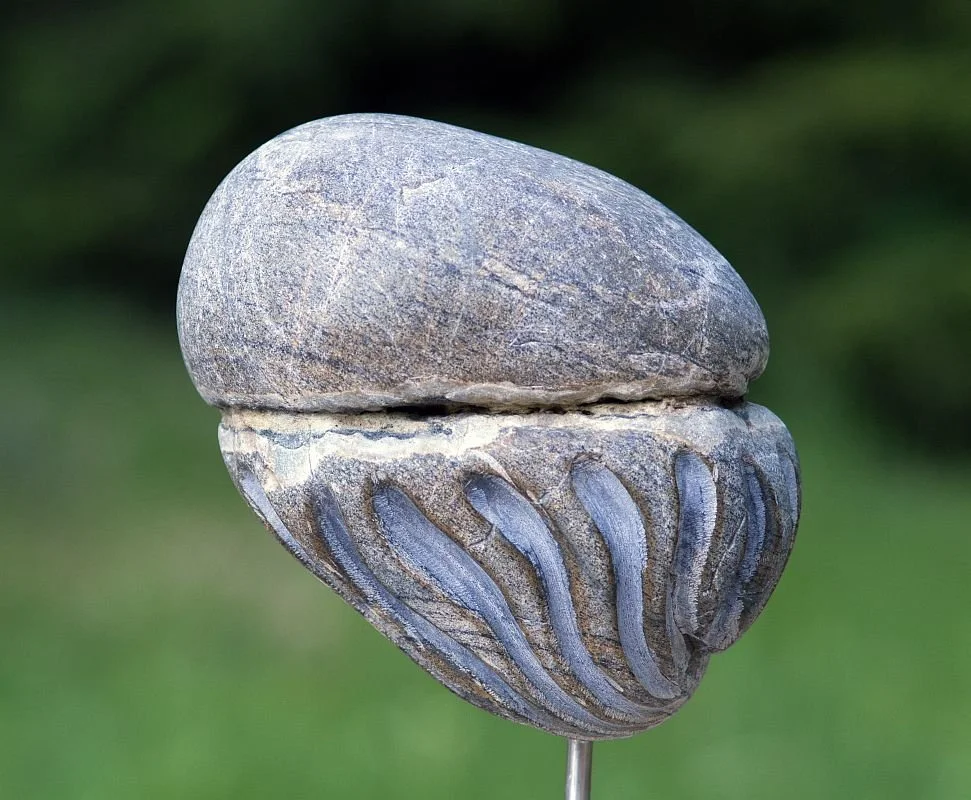 'Floating Jellyfish' 2015, beach rock