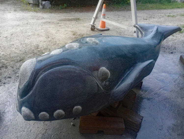 'Right Whale' 2024, Burlington /MA