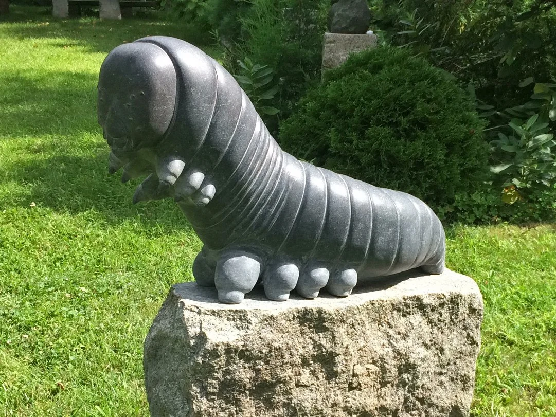 'Caterpillar' 2019, black granite