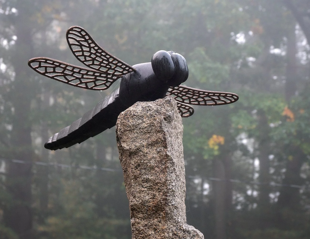'Dragonfly' 2022, black granite and bronze wings