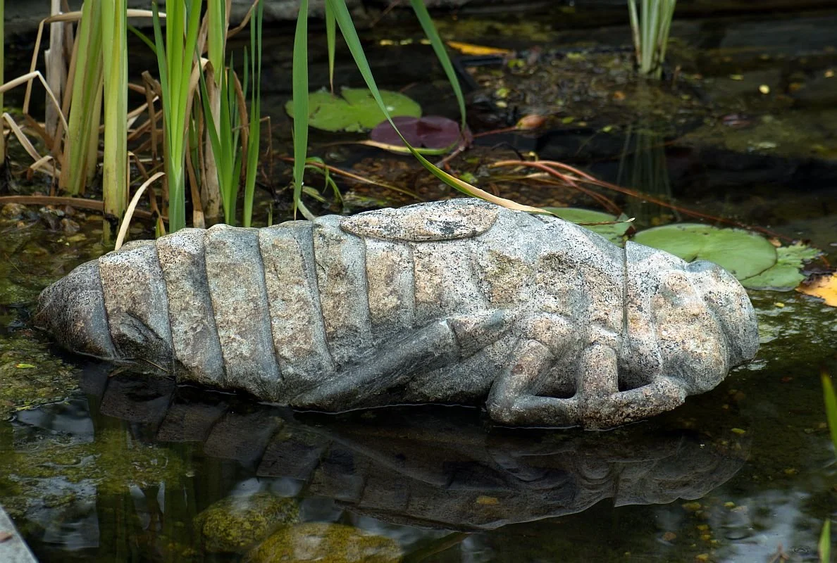 'Dragonfly Larva' 2011, fieldstone