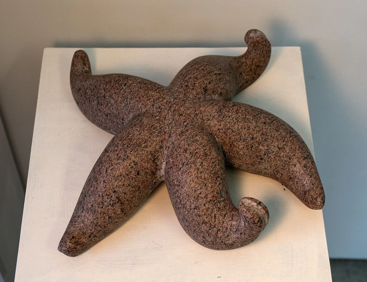 'Sea Star' 2021, pink granite