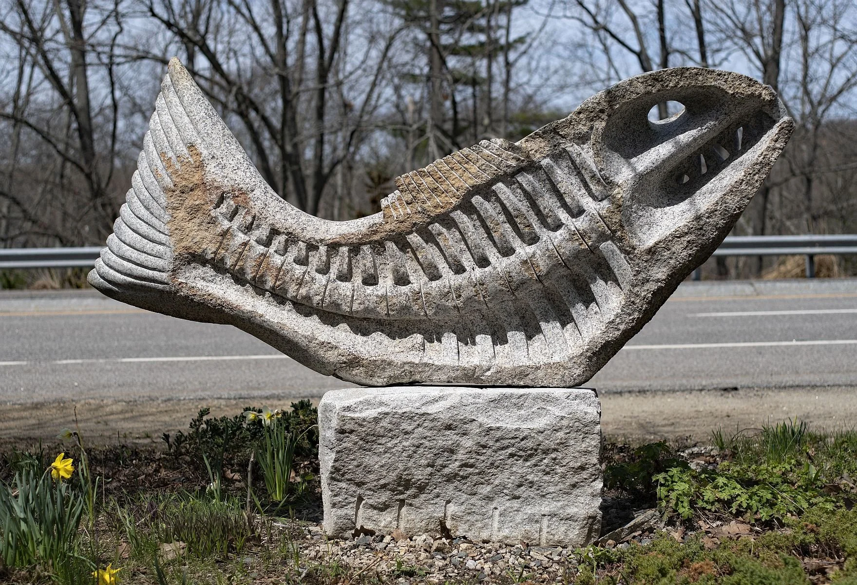 Rotten Fish 2025