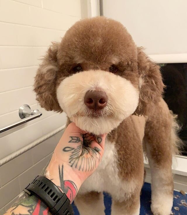 Duncan