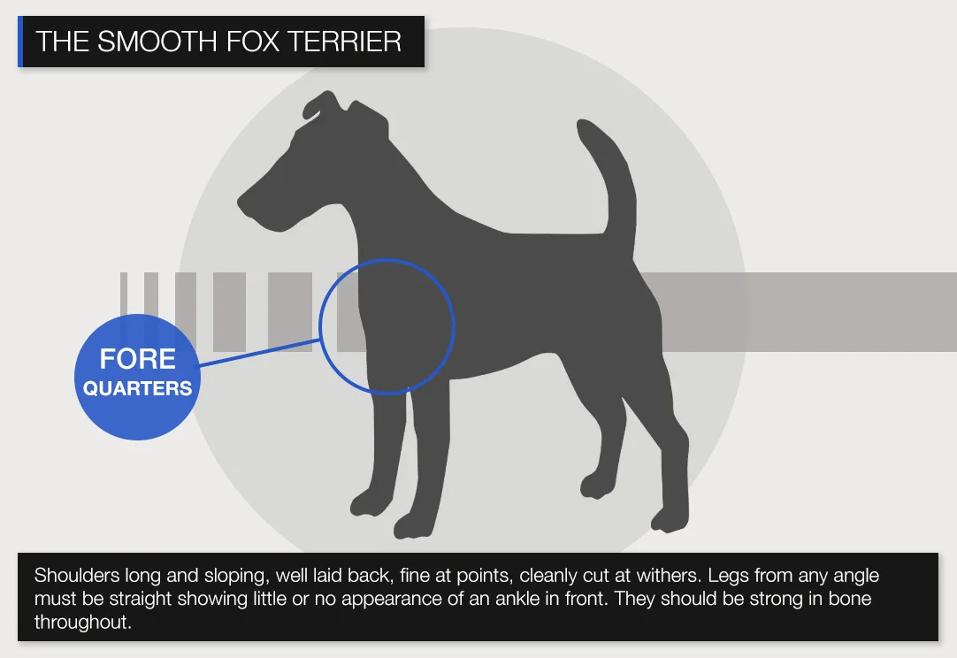 Smooth-FOREQUARTERS.jpg