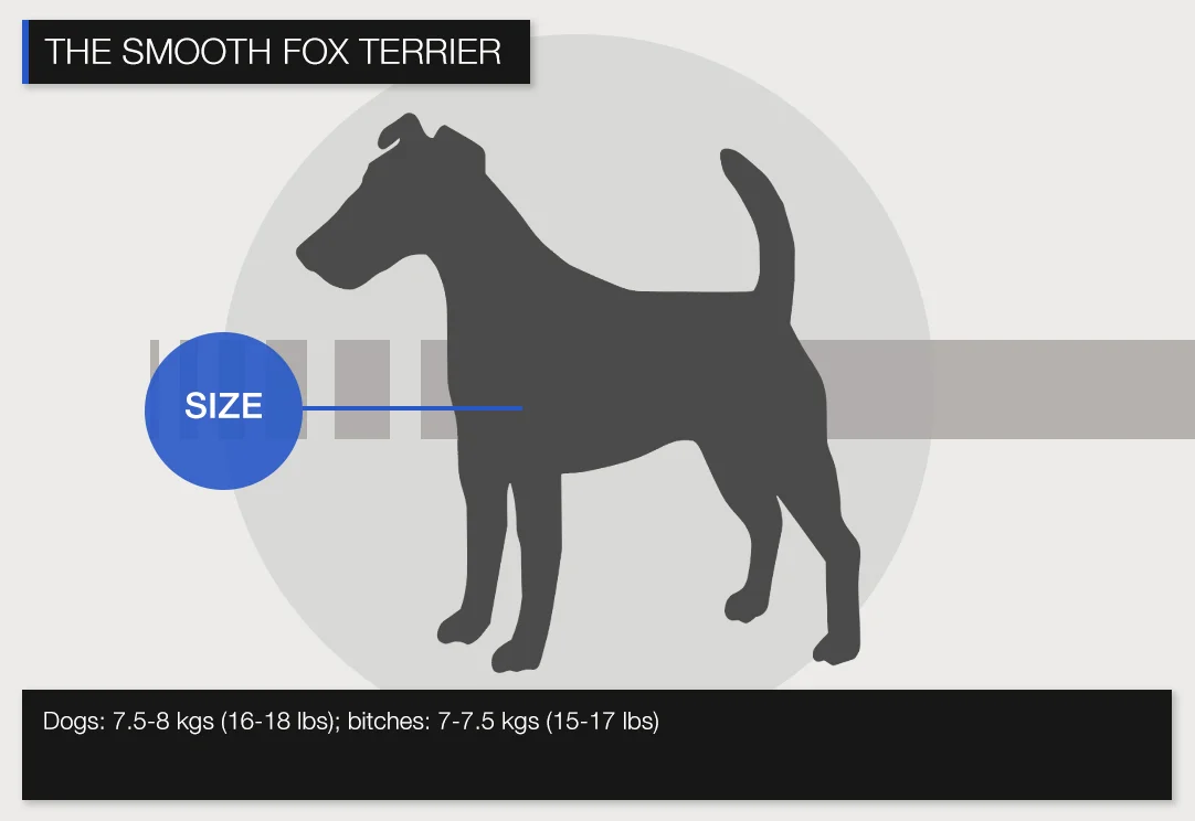 Smooth-SIZE.jpg