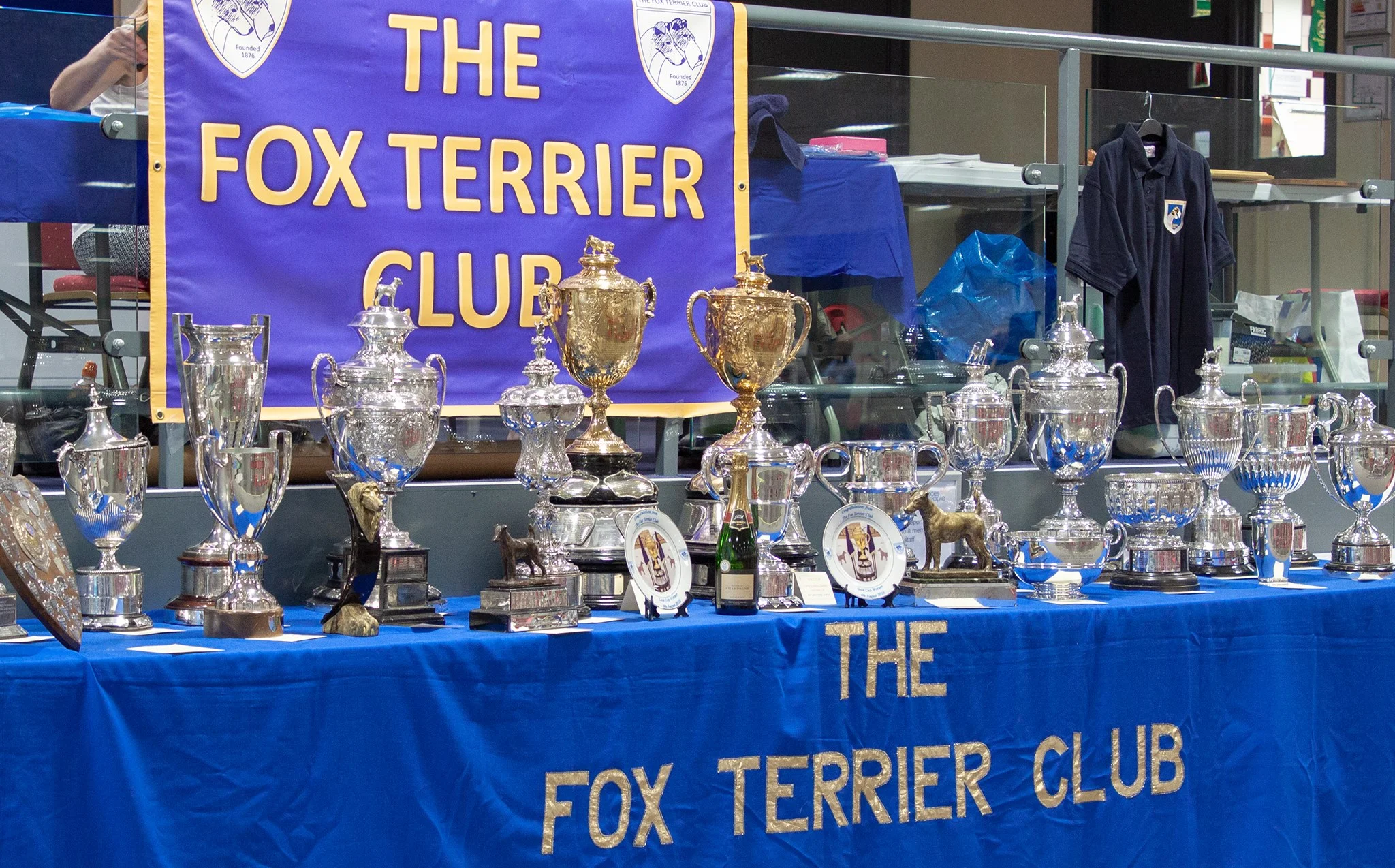The Fox Terrier Club Championship Show 2018