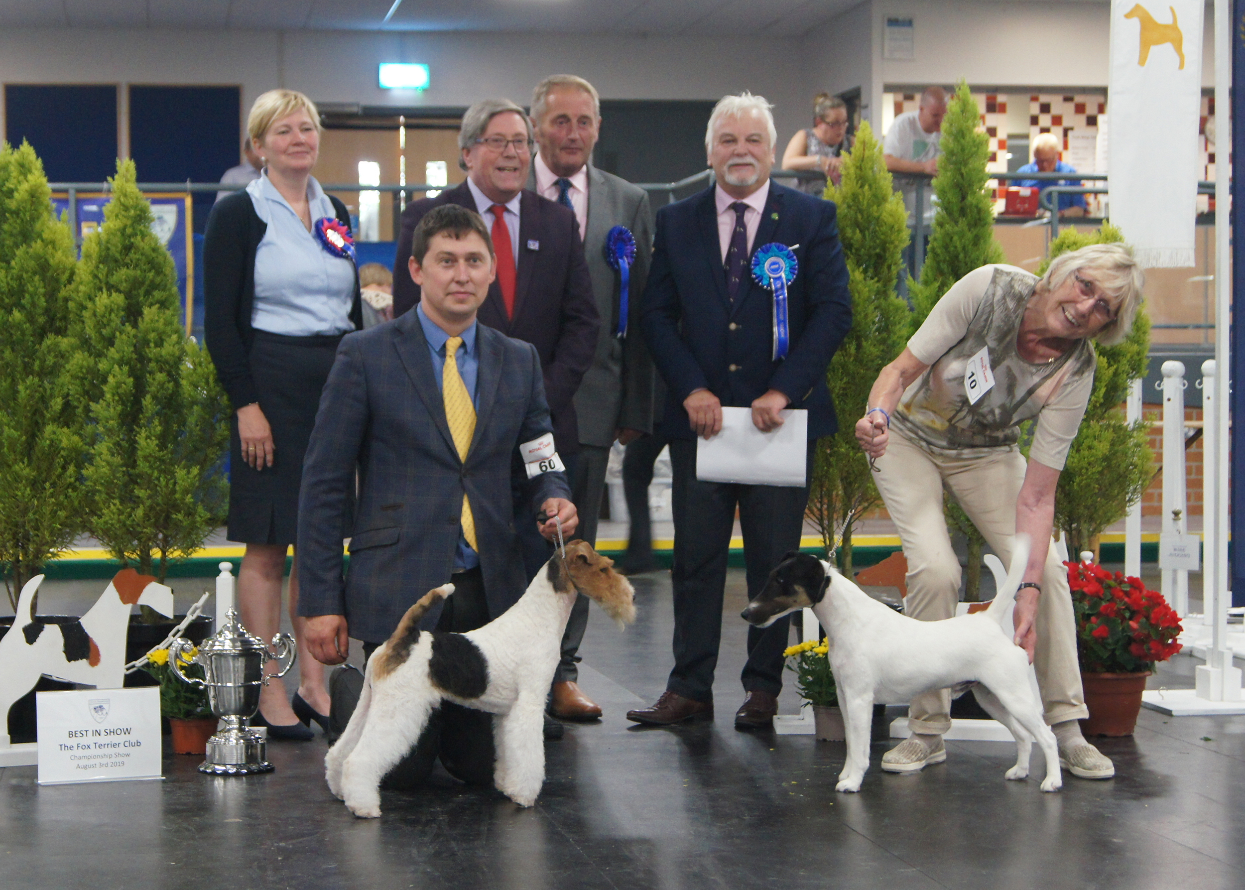 The Fox Terrier Championship Show 2019