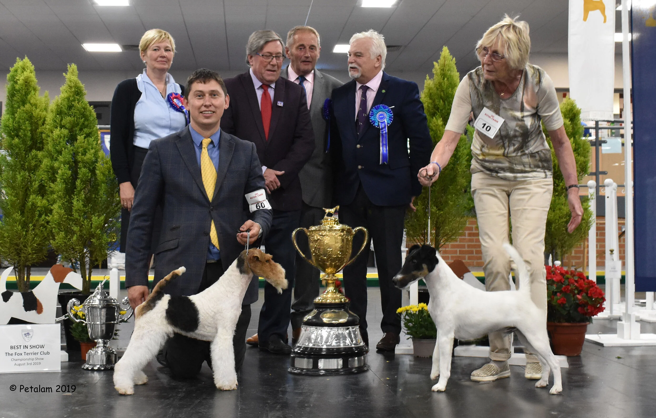 Dog Breed Infodog Com Shows State By State Infodog Shows 2025