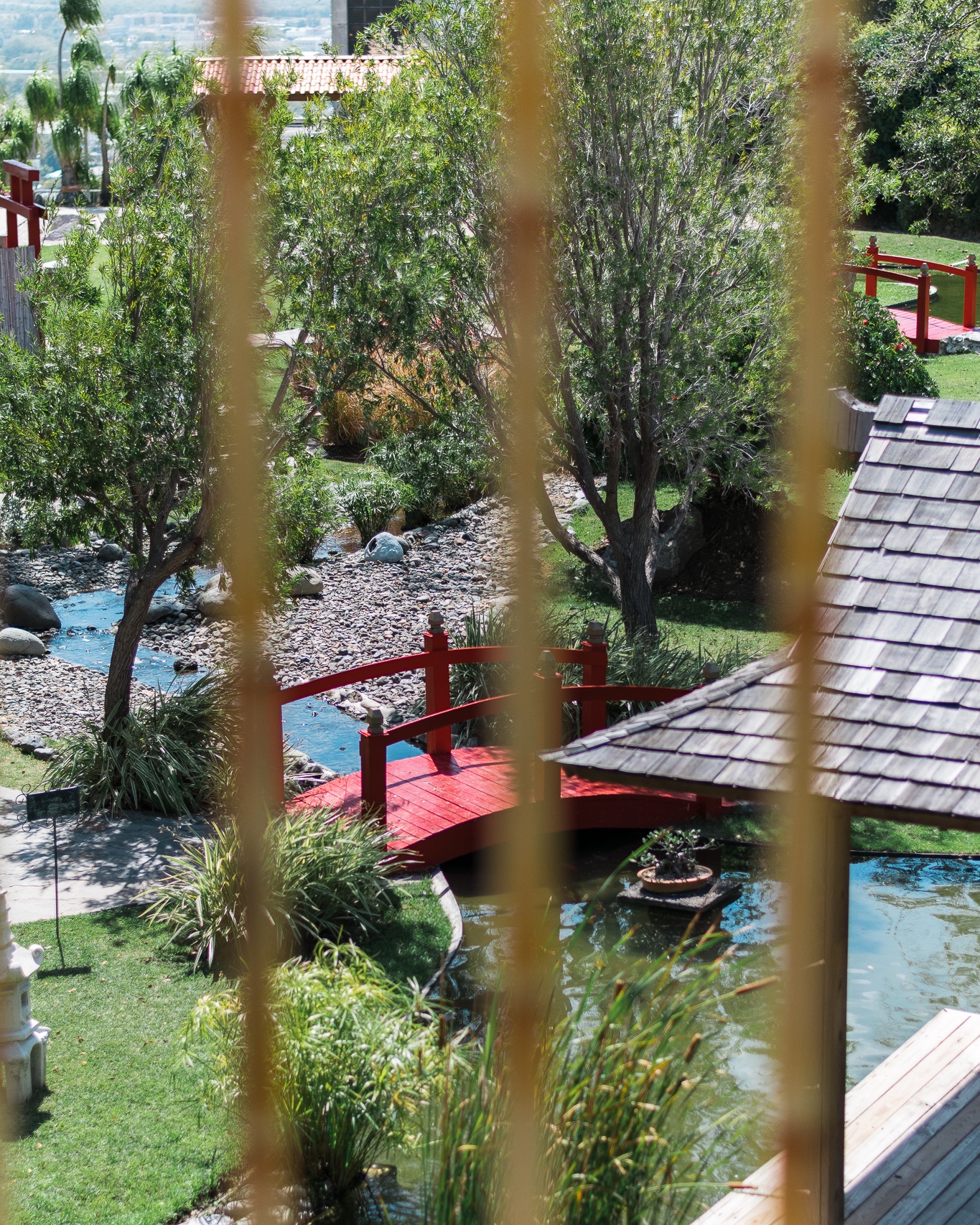 Jardín Japonés en Ponce
